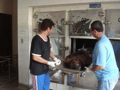 morgue-venezuela-26-.jpg