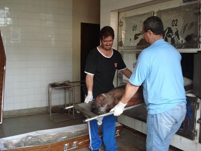 morgue-venezuela-27-.jpg