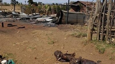 kenya1.jpg