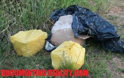 bags.jpg