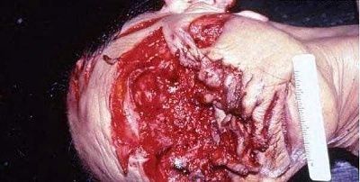 killed-003.jpg