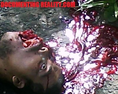 brains3.jpg