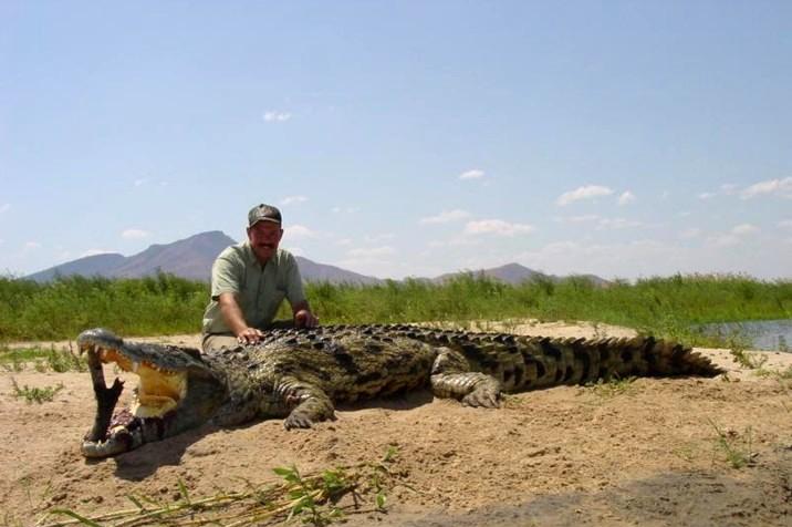 crocodilesnack1.jpg
