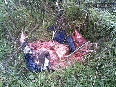 14412-plane-crash-mangled-corpsebig0.jpg