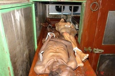 cuba12.jpg