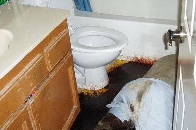 toilet.jpg
