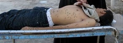 flies-galore.jpg