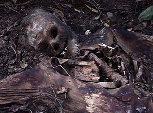 body_farm_skeleton.jpg