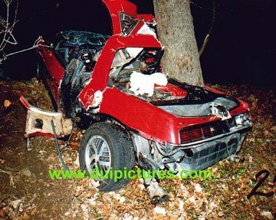 cartree.jpg