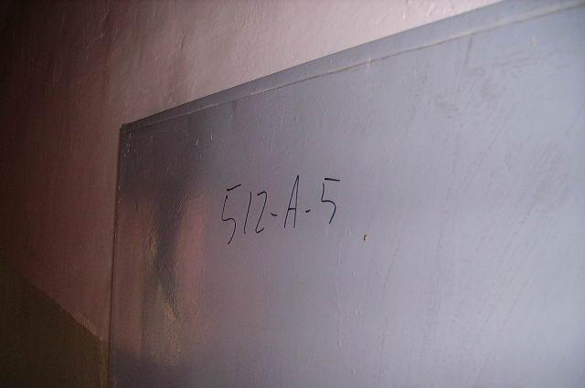 f7155.jpg