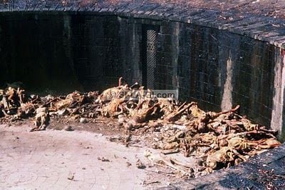 Torre del silencio en la India 1.jpg