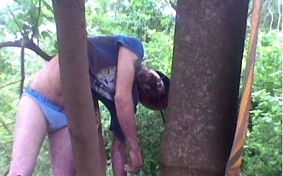 tree1.jpg