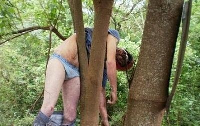 tree2.jpg