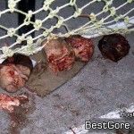 santa-ana-jail-massacre-03-150x150.jpg