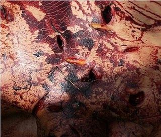 stabbed1.jpg