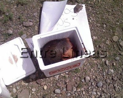 218_4361_cabezas6.jpg