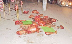 dismembered-acapulco.jpg