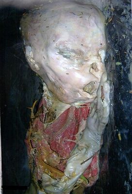 decay4.jpg