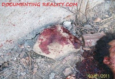 stoning5.JPG