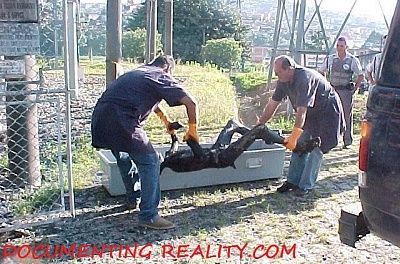 electrocuted3.jpg