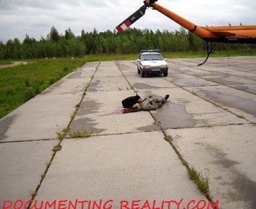 helicopter1.jpg