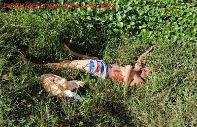 stab2.jpg