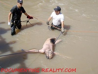 floater2.jpg