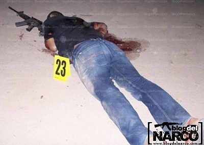 narco6.jpg