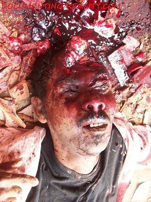 headshot4.jpg