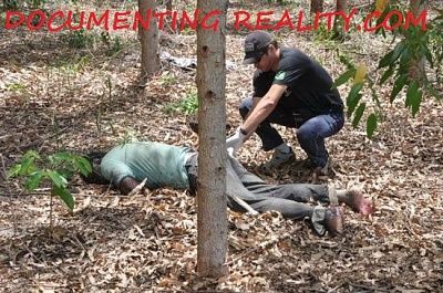 viraldeath_com-melt-down-3.jpg