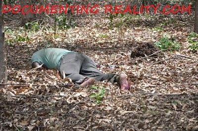 viraldeath_com-melt-down-4.jpg