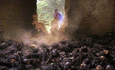 cult-killing-1.jpg