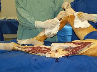leg04.jpg