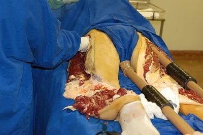 leg08.jpg