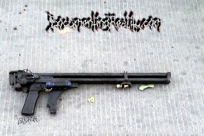kashi-11.jpg