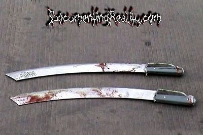kashi-2.jpg