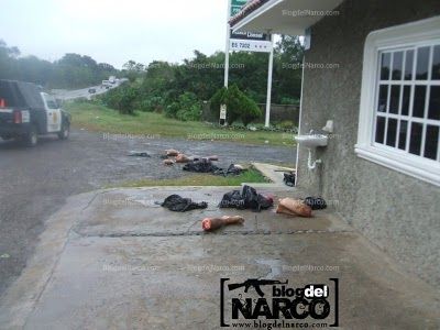 narco1.jpg