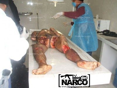 narco9.jpg