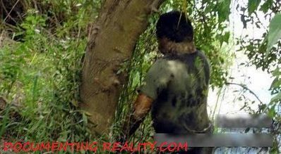 decomp2.JPG