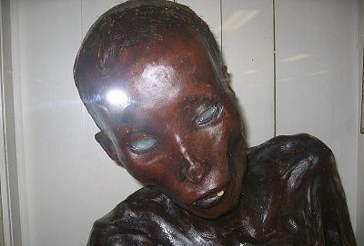 siquey2.jpg