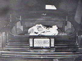 Roy DeMeo body.jpg