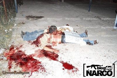 narco3.jpg