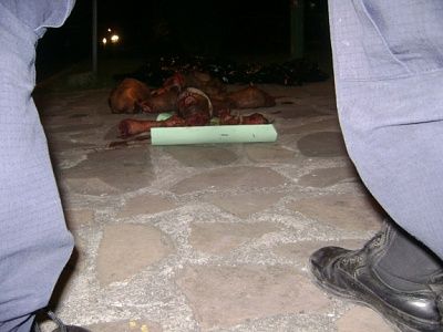 24desta5.jpg