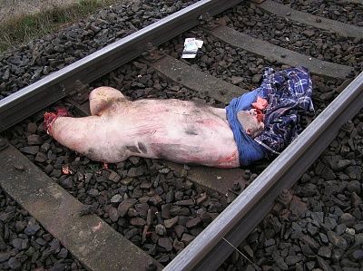 train-dead-3.jpg