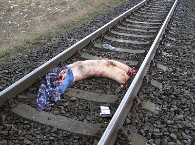 train-dead-6.jpg