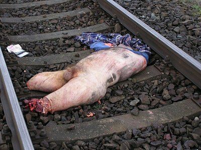 train-dead-7.jpg