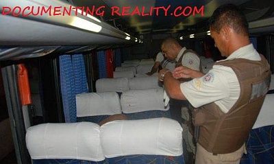 bus2.jpg