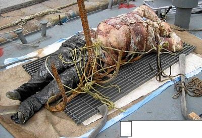 94164_qxaxu4_123_1180lo.jpg