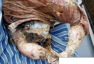94195_qxaxu10_123_176lo.jpg
