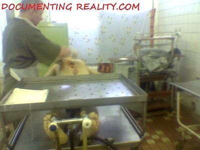 eastmorgue5.jpg